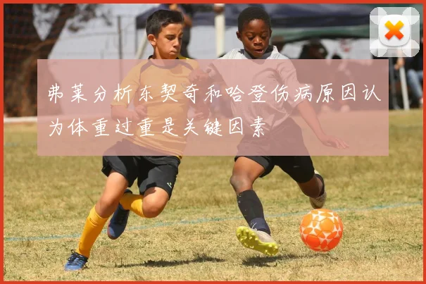 弗莱分析东契奇和哈登伤病原因认为体重过重是关键因素
